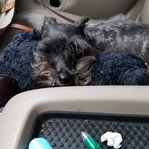 Meet your Posher, Cheryl